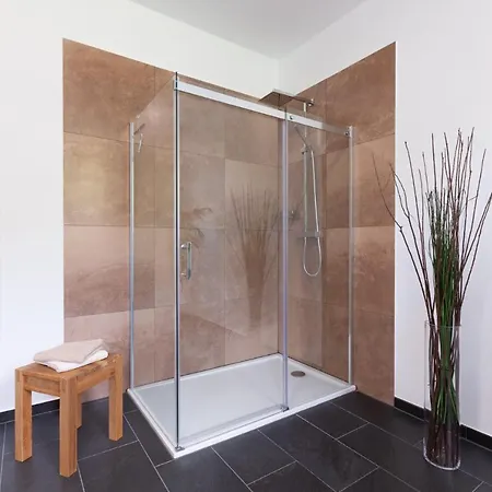 Moselallee 5 Sterne Appartement Moselkern